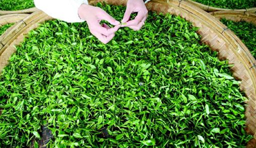 行業(yè)動(dòng)態(tài)